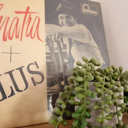 Ditti's By Tok Durrës