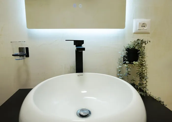 Ditti's By Tok Durrës